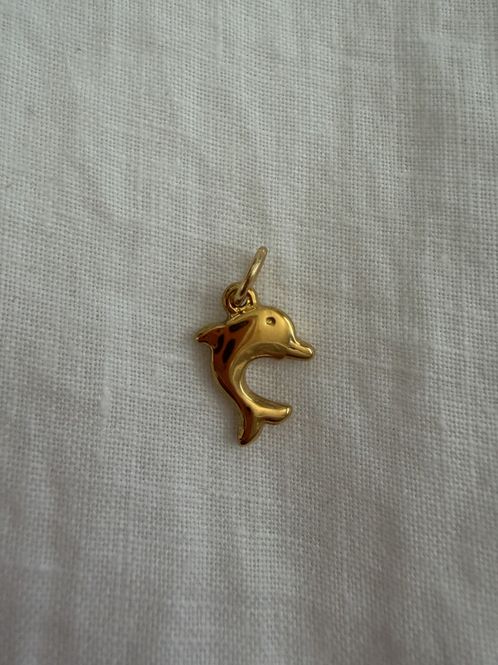 Hovedbilde Charm - Søt Delfin