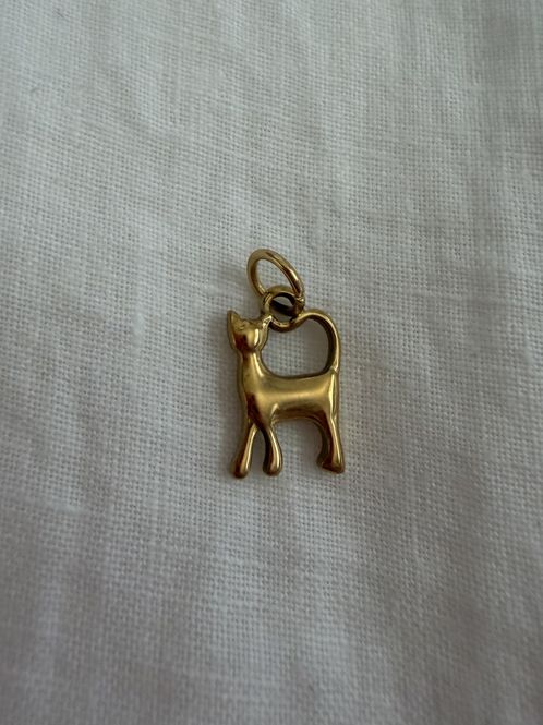 Hovedbilde Charm - Katt