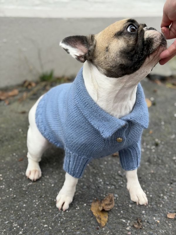 Polo Sweater - English